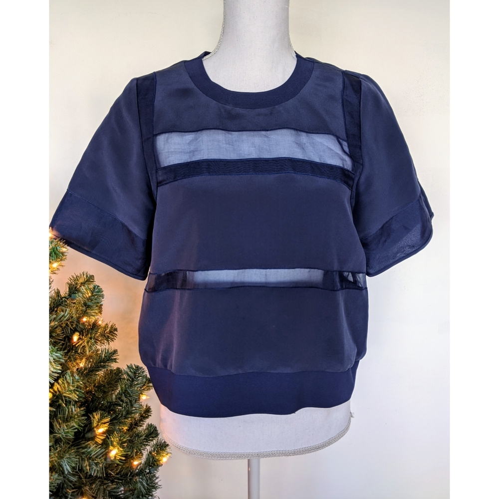 •Rebecca Taylor• Solid and Transparent Blouse